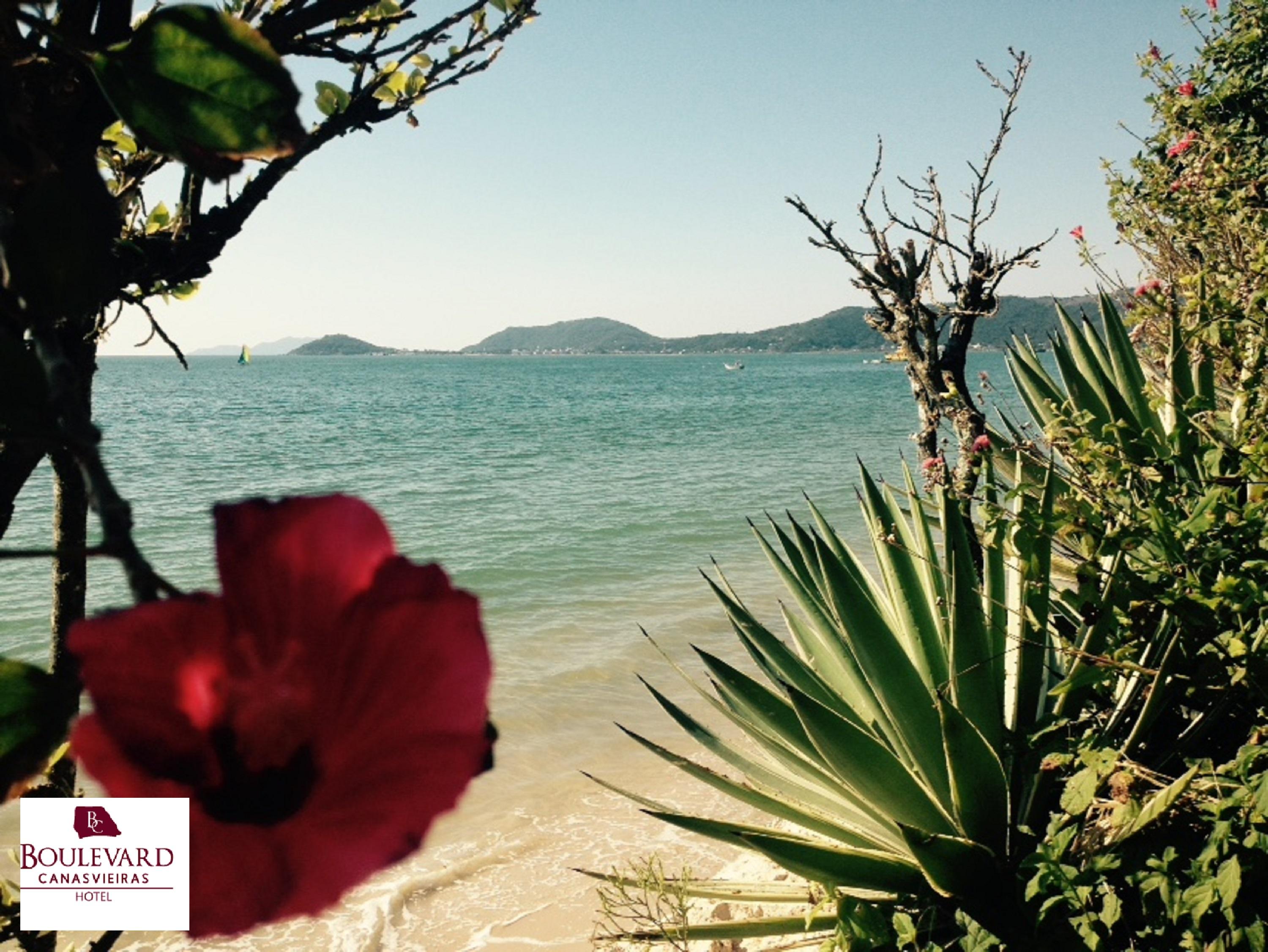 Boulevard Beach Canasvieiras Hotel Florianópolis Exteriör bild